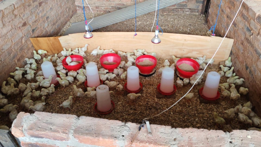 6 Bedroom Property for Sale in Hartbeespoort North West